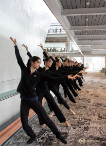 <p>Vi är i soliga Orlando för sex föreställningar under fem dagar! (Foto: dansare Megan Li)</p><p>På en bro i Wekiwa Springs stadspark slappnar artister från Shen Yun Global Company av medan andra drar sig ner till vattnet i kajaker och kanoter. (Foto: Megan Li)</p><p>Efter en veckas uppträdanden i Perth, gör Shen Yun World Company ett uppehåll på den lokala botaniska trädgården innan de reser till nästa turnéstad i Australien. (Foto: kompaniledare Vina Lee)</p><p>Unikt för Australien är denna blomma, Banksia, känd som