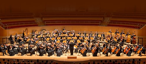 Symphony Artist